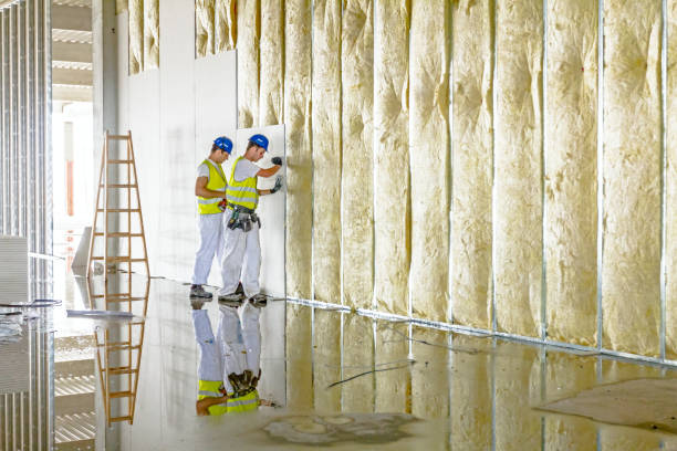 Best Types of Insulation in Opelika, AL